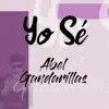 Abel Gandarillas - Yo Sé - Single